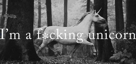 Year of the f*cking unicorn I Am A Unicorn, Facebook Cover Images, Real Unicorn, Fb Cover Photos, Oh My Goddess, Fb Cover, She Wolf, Fb Covers, Cover Pics