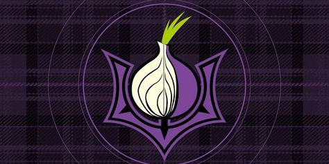 Installing Tor In Kali Linux Computer Reference, Kali Linux Aesthetic, Kali Linux Wallpapers 4k Desktop, Computer Hacking, Kali Linux Hacks Wallpaper, Dark Net, Build Your Own Computer, Tor Browser, Computer Applications