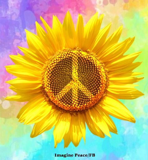 Peace Sign Art Hippie, Sign Wallpaper, Diy Screen, Sunflower Quotes, Peace Sign Art, Diy Screen Printing, Breakfast Platter, Art Hippie, Paisley Wallpaper