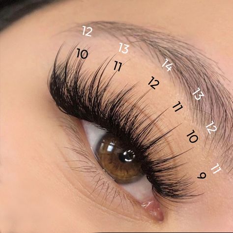 Wispy Volume Sets: Where Art Meets Lashes! Length: 9mm-14mm Curl: C or D Fans: Eyesy Lash Wispy 5D-7D fans #lashgoals #lashextensions #eyelashgame #lashaddict #lashtech #lashmap Wispy Lashes Map, 5d Lash Extensions, Wispy Set Lashes, Wispy Lashes Mapping, Whispy Lashes Eyelashes, Wispy Volume Lash Extensions Map, Wispy Eyelash Extensions Map, Wispy Lash Extensions Styles, Wispy Cat Eye Lash Extensions