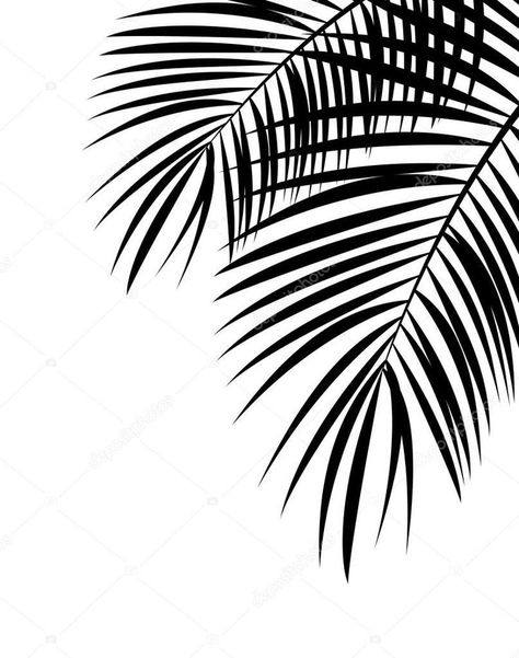 Palm Leaf Illustration, Palm Leaves Drawing, Palm Leaf Drawing, Palm Leaf Tattoo, Palm Leaf Painting, Tropisches Tattoo, Palm Leaf Art, Palm Leaf Pattern, Palm Leaf Design