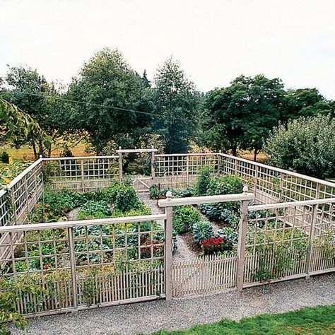 Deer Resistant Garden, Fenced Vegetable Garden, Vegetable Garden Planner, Diy Garden Fence, Deer Fence, Vegetable Garden Raised Beds, Backyard Vegetable Gardens, Organic Vegetable Garden, Garden Wallpaper