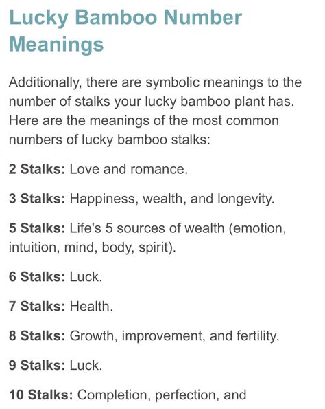 Lucky Bamboo Aesthetic, Plant Meanings, Lucky Bamboo Plants, Lucky Plant, Bamboo Stalks, Lucky Bamboo, Number Meanings, Bamboo Plants, Meant To Be