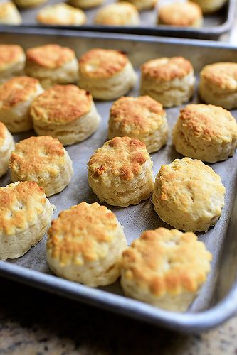 Mmmm...Self-Rising Biscuits. Nothing easier in the world. Baked Biscuits, Southern Buttermilk Biscuits, Easy Biscuit Recipe, Southern Biscuits, Biscuits Easy, Pioneer Woman Recipes, Ree Drummond, Buttermilk Biscuits, Self Rising Flour