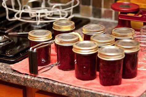 Razzleberry Jam, Blackberry Puree, Raspberry Bushes, Fruit Butters, Raspberry Bush, Can Jam, Canning Jams, Canning 101, Canning Ideas