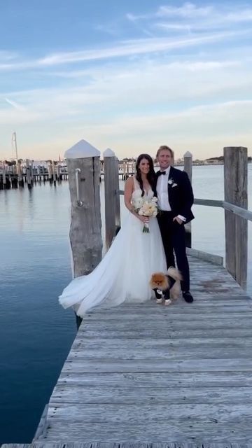 Pookah the Pomeranian 🦁 on Instagram: "Humans got married! Then they threw a giant pawty to celebrate me 👑🍾 Thank you @annahappydog for helping me look like da most distinguished gentleman #dogtuxedo #dogwedding #dogtux #customdogtuxedo #montaukwedding #wedding #amsale #amsaleweddings" Pomeranian Wedding, Dogs In Tuxedos, Female Dog Wedding Attire, Pomeranian Dressed Up, Dog Tuxedo Wedding, Dog Tux, Distinguished Gentleman, Dog Tuxedo, Wedding Tuxedo