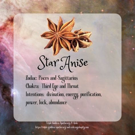 Anise Witchcraft, Witchy Herbs, Herbs Witchcraft, Pisces And Sagittarius, Savory Dishes, Triple Goddess, Star Anise, Traditional Medicine, Sweet And Savory