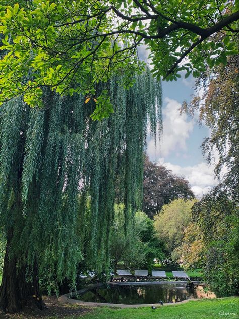 Czech Republic Nature, City Park Aesthetic, Prague Czech Republic Aesthetic, Czechia Aesthetic, Prague Summer, Prague Aesthetic, Prague Spring, Wallpaper Travel, Prague City