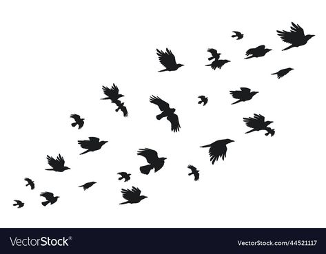 Animals With Wings, Gothic Animals, Crows Flying, Raven Silhouette, Group Of Crows, Fly Gif, Black Bird Fly, Flock Of Crows, Crow Flying