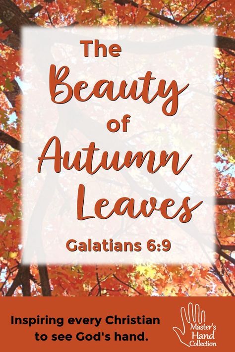 October Devotional Daily, Fall Devotional Ideas, Autumn Bible Study, Fall Quotes Christian, Devotion For Women's Group, Fall Devotions For Kids, Ladies Devotional Ideas, Women’s Ministry Fall Event Ideas, October Devotional