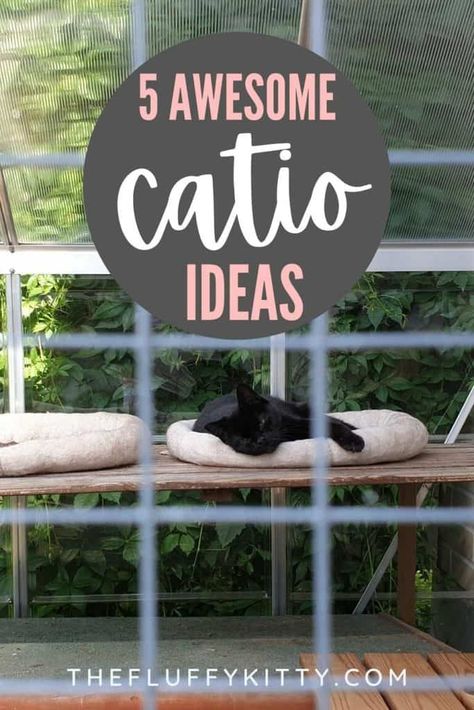 CATIOS! 5 Awesome Cat Outdoor Play Area Ideas - Fluffy Kitty Porch Cat Enclosure, Homemade Catio Ideas, What To Put Inside Catio, Garage Cat Enclosure, Diy Catios For Cats Apartment, Catio Plans Diy Easy, Window Catio Ideas For Cats Outdoor, How To Build A Catio For Cats, Catio Ideas Cat Diy