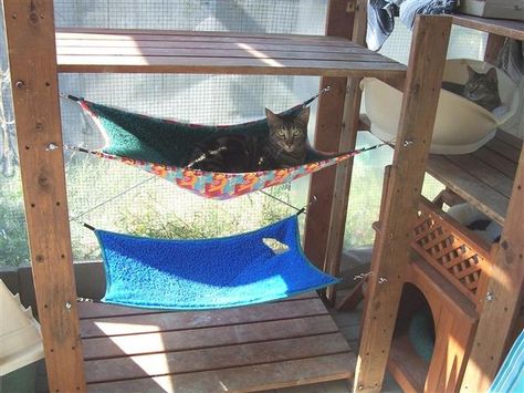 Double-decker outdoor kitty hammocks with solid frame and shade. Excellent outdoor cat habitat. Katt Diy, Cat Habitat, Cat Projects, Cat Patio, Cat Hotel, Cat Run, Outdoor Cat House, Cat Playground, Outdoor Cat