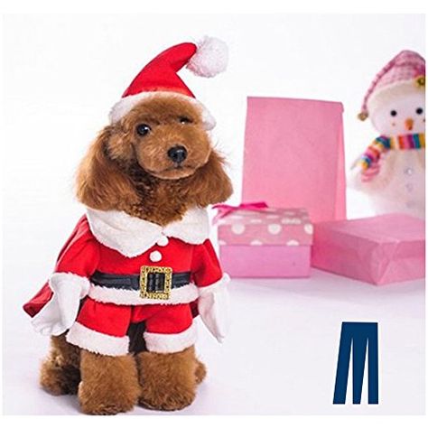 Mikayoo Christmas Costumes for Small Dog Medium Dog Or Cat Santa Suit with HatSanta Dress with Hat Santa Claus Costumes Christmas Holiday Xmas coat with Santa Hat Xmas dress with Santa HatS *** You can get more details by clicking on the image. (This is an affiliate link) #DogApparelAccessories Pet Costumes For Dogs, Dog Christmas Clothes, Costumes For Dogs, Dog Fashion Clothes, Funny Christmas Outfits, Xmas Costumes, Christmas Dog Outfits, Hot Dog Bar, Dog Xmas