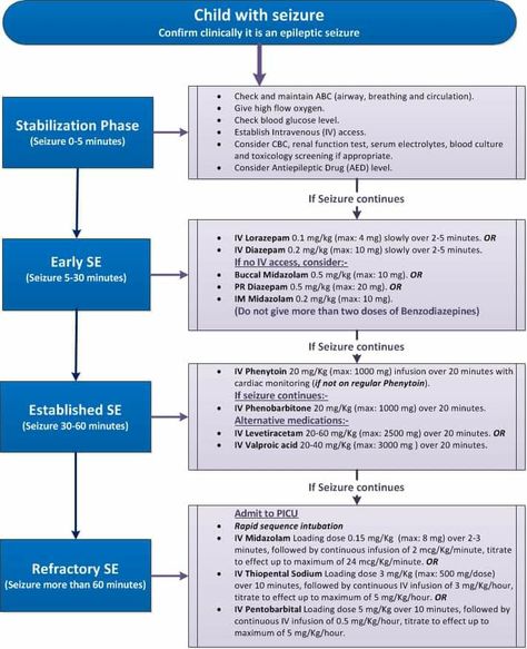 Status Epilepticus, Blood Glucose Levels, Nursing Study, Study Materials, Pediatrics, Saudi Arabia, Medicine, Abc, Medical