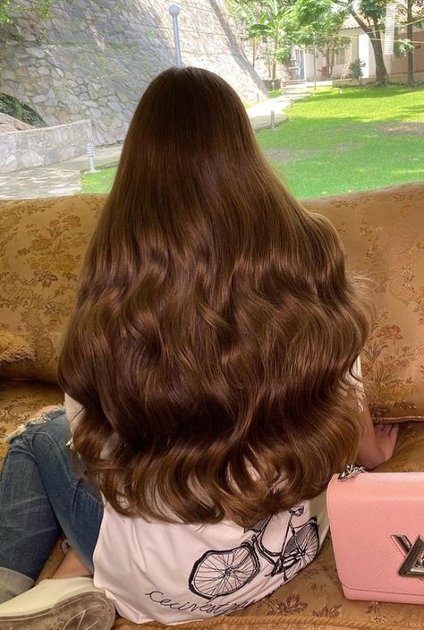 Brown Hair Looks, Brown Hair Inspo, Happy Hair, Hair Stylist Life, Beautiful Long Hair, Hair Inspo Color, Light Brown Hair, Aesthetic Hair, Gorgeous Hair