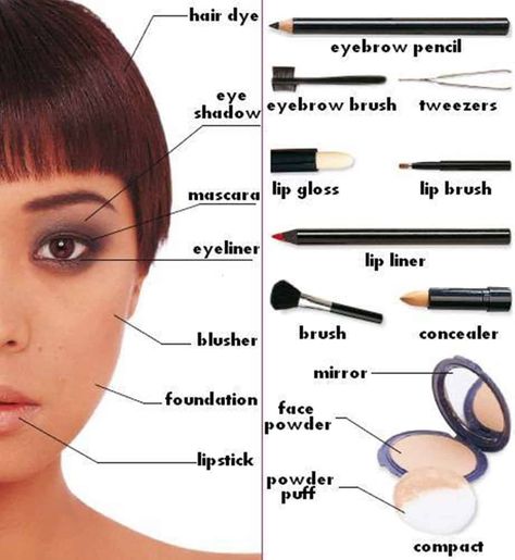 Make-up and Cosmetics Vocabulary in English 2 English Nouns, Chart Sheet, Makeup Names, Diy Cactus, Visual Dictionary, Italian Language Learning, British Council, English Vocab, German Language Learning