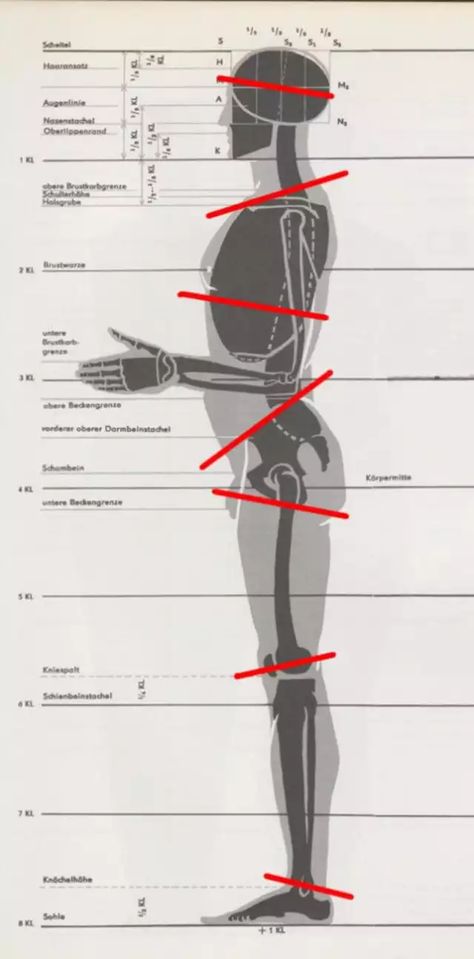 Male Figure Drawing, Anatomy Tutorial, Human Anatomy Drawing, Human Figure Drawing, Human Anatomy Art, Human Drawing, Anatomy Sketches, Anatomy Poses, Anatomy For Artists