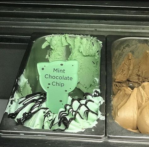 Fake Cake Jewelry, Cake Jewelry Box, Ice Cream Aesthetic, Cake Jewelry, Mint Chocolate Ice Cream, Mint Aesthetic, Mint Chip Ice Cream, Ali Hazelwood, Mint Chocolate Chip Ice Cream