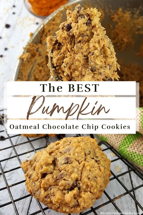 Best Pumpkin Chocolate Chip Cookies, Soft Pumpkin Chocolate Chip Cookies, Pumpkin Oatmeal Chocolate Chip Cookies, Pumpkin Chip, Soft Pumpkin Cookies, Pumpkin Cookie Recipe, Soft Chocolate Chip Cookies, Pumpkin Chocolate Chip Cookies, Pumpkin Chocolate Chip