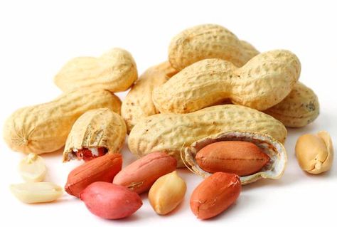 Are Nuts Poisonous For Pets #Almonds #Peanuts #Pistachios Raw Peanuts, Stop Overeating, Nuts & Seeds, How To Grow Taller, Grow Your Own Food, Heart Healthy, Health Food, Health Benefits, Cookies Et Biscuits