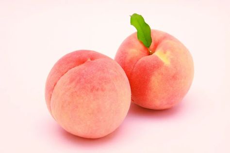 Peach Aesthetic, Peach Art, Peach Fruit, Fruit Plants, Just Peachy, Chinese Painting, Peach Pink, Peaches, Fruits And Vegetables