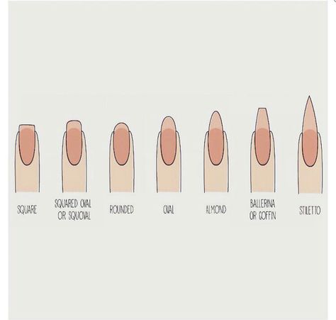 Types of nails Side View Of Acrylic Nails, Types Of Artificial Nails, Biab Extensions Nails, Nail Sizes Shape Chart, Mail Shape Chart, Different Types Of French Tip Nails, Summary Nails, Nails Types, Mail Sizes