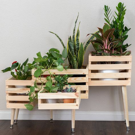 In this guide, you'll learn how to build a crate plant stand using a few tools and materials. Proudly display your houseplants in these stylish crate stands. Crate Plant Stand, Painting Floors, Plant Stand Ideas, Diy Wooden Crate, Plants Diy, Plant Stands Outdoor, Wooden Plant Stands, Stand Ideas, Garden Wallpaper