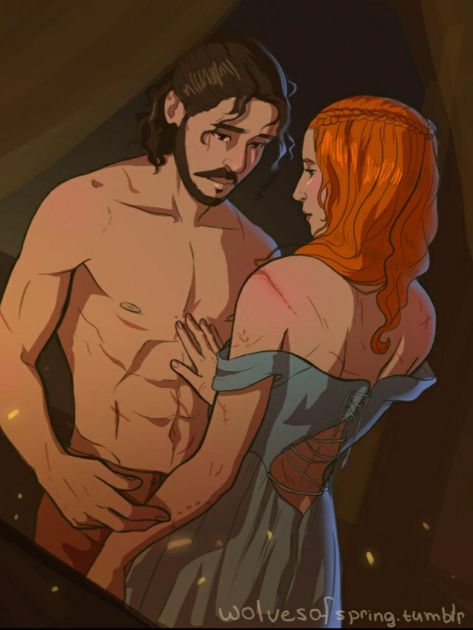 Sansa Stark Fan Art, Sansa Jon, Jon And Sansa, Sansa Stark Jon Snow, Jon Snow Art, Game Of Thrones Sansa, Game Of Thrones Artwork, Game Of Thrones Dragons, A Dance With Dragons