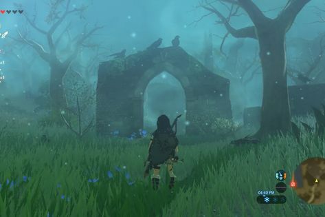 How to get through the Lost Woods in Breath of the Wild - Polygon Lost Woods, Girl Ok, Zelda Botw, Research Images, Wild Forest, Rock Face, Zelda Breath, Art Courses, The Kiss