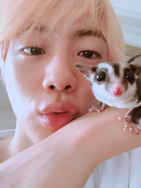 (19/03/2019) fallece la mascota de jin y se entristece en el VLIVE Jin Oppa, Taehyung Cute, Min Min, 4 December, Jin Bts, Seokjin Bts, Jungkook Aesthetic, Worldwide Handsome, Fan Fiction