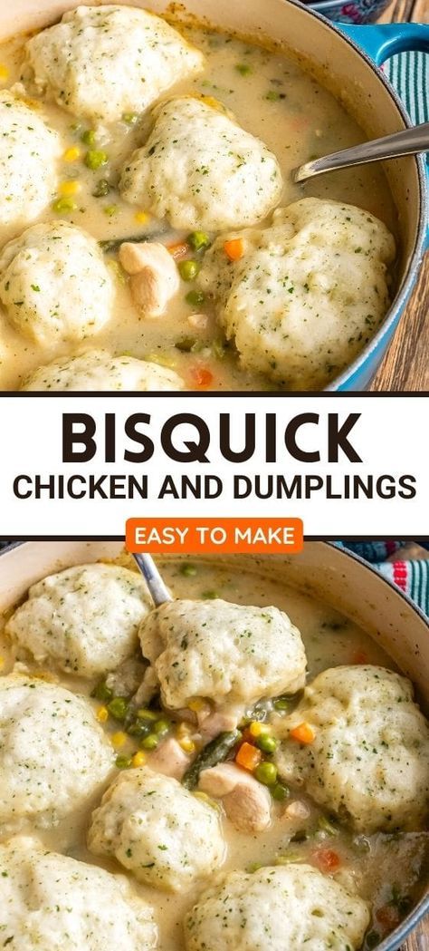 How To Make Dumplings With Bisquick, Chicken Dumplings With Bisquick, Biscuit Dumplings Recipe, Bisquick Dumpling, Chicken And Bisquick Dumplings, Bisquick Dumplings Recipe, Bisquick Recipes Dinner, Chicken And Dumplin Recipe, Easy Chicken Dumpling Recipes