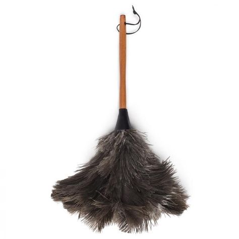 Feather Duster House At Pooh Corner, Minimal Storage, Jump For Joy, Feather Duster, Silver Wolf, Static Electricity, Ostrich Feather, Ostrich Feathers, Shrek