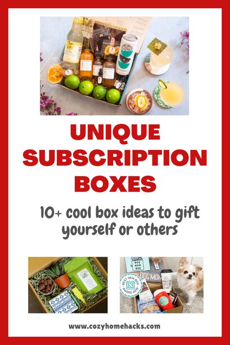 Coffee Subscription Boxes, Monthly Gift Box Subscriptions, Free Subscription Boxes, Best Monthly Subscription Boxes, Freebie Websites, Subscription Boxes For Men, Subscription Box Business, Food Subscription Box, Love For Yourself