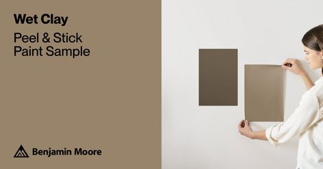 Wet Clay (CSP-1045) | Benjamin Moore | Samplize Peel and Stick Paint Sample Tv Nook, Picking Paint Colors, Revere Pewter Benjamin Moore, Tan Paint, Coriander Seed, Choosing Paint Colours, Grass Painting, Kitchen Mood Board, Choosing Paint