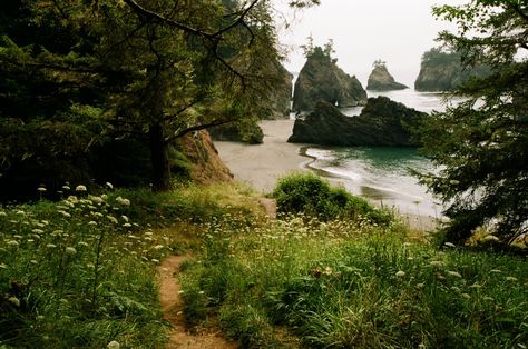 Oregon Aesthetic, Oregon Living, Ancient Forest, Oregon Travel, I Want To Travel, On Film, Oregon Coast, Photography Inspo, Pacific Northwest