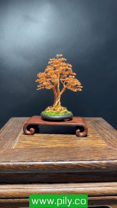 wire bonsai tree how to make - Pily [Video] [Video] | Wire art, Wire sculpture, Copper wire crafts Sculptures Sur Fil, Tree Video, Wire Bonsai Tree, Copper Wire Crafts, Bonsai Wire, Wire Bonsai, Crafting Wire, Copper Wire Art, Wire Art Sculpture