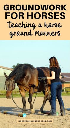 Groundwork for horses: Teaching a horse ground manners Saddle Breaking A Horse, Ground Work For Horses Exercises, Horse Groundwork Exercises, Liberty Training For Horses, Horse Training Exercises Groundwork, How To Bond With Your Horse, Groundwork Exercises For Horses, Liberty Horse Training, Horse Bonding