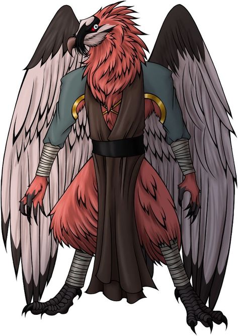 Skybourne Outlander Background, Aarakocra Dnd, True Neutral, Bearded Vulture, The 4 Elements, Dragons Art, Bird People, Dnd Races, Character Sheets