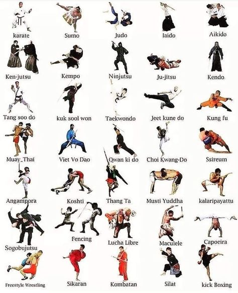 Samurai Stance, Combat Moves, Street Knowledge, Boxing Stance, Types Of Martial Arts, Different Martial Arts, Wing Chun Martial Arts, Karate Moves, Martial Arts Forms