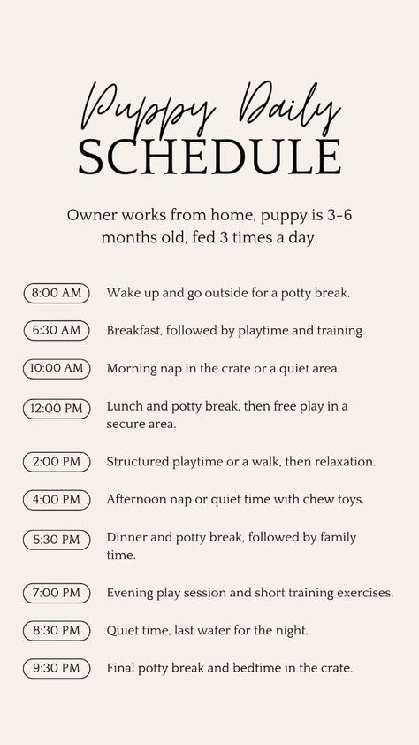 4 Month Puppy Schedule, Puppy Schedule 8 Week Old, New Puppy Schedule, Dog Training Schedule, Dachshunds Puppy, Dog Feeding Schedule, Routine Schedule Template, Crate Training Puppy Schedule, Daily Routine Schedule Template