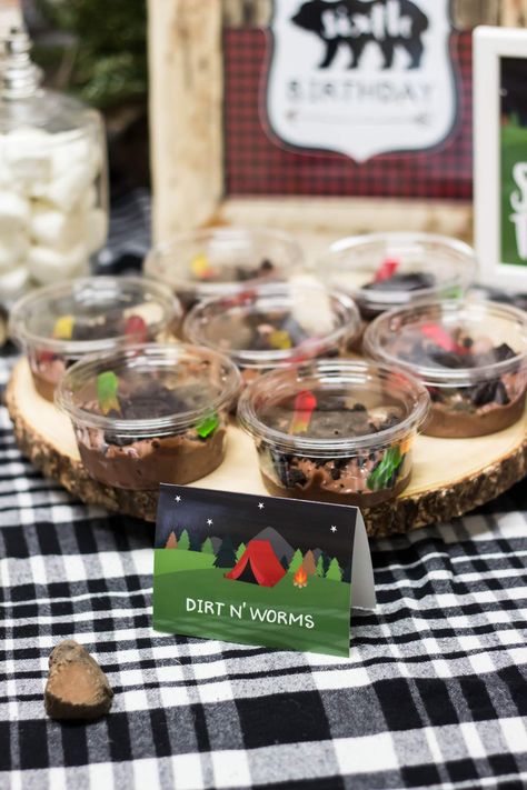 Smore Party, Cabin Birthday, Happy Camper Birthday Party, Australian Party, Camping Theme Birthday Party, Camping Theme Birthday, Indoor Camping, Bear Recipes, Lumberjack Birthday