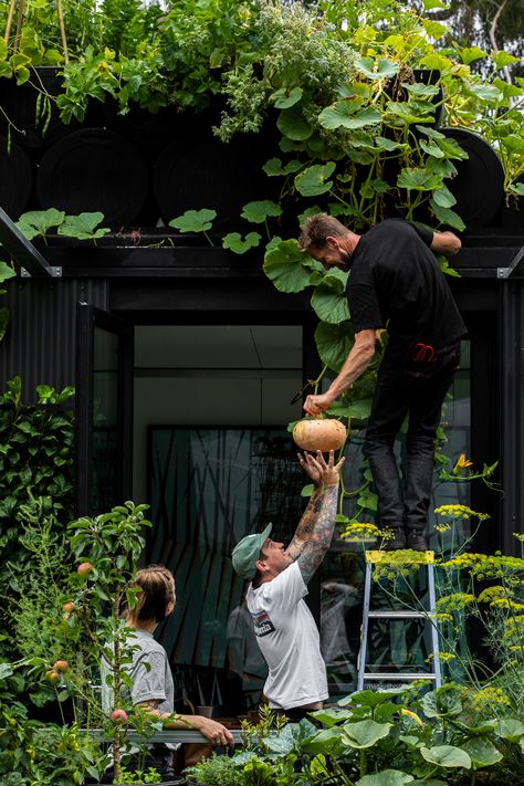 This ambitious zero-waste home and urban farm can be found right in Melbourne's CBD | Gourmet Traveller Rooftop Veggie Garden, Future Food System, Live In Greenhouse, Greenhouse Food Garden, Urban Food Garden, Permaculture Greenhouse, Veggie Greenhouse, Self Sustaining Garden, Living In A Greenhouse