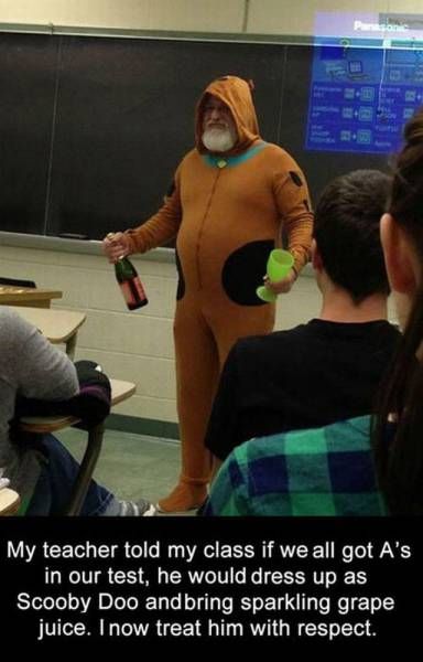 Scooby Doo costume, sparkling grape juice, and one cool teacher. Scooby Doo Disfraz, Scooby Doo Costumes, Sparkling Grape Juice, Gavin Degraw, Male Teacher, Morning Humor, How To Stay Awake, Best Teacher, Funny Moments