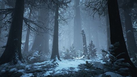 Fantasy Music, Winter Music, Broken Dreams, Snow Forest, Fantasy Background, Snowy Forest, Fantasy Forest, Fantasy Setting, Fantasy Places