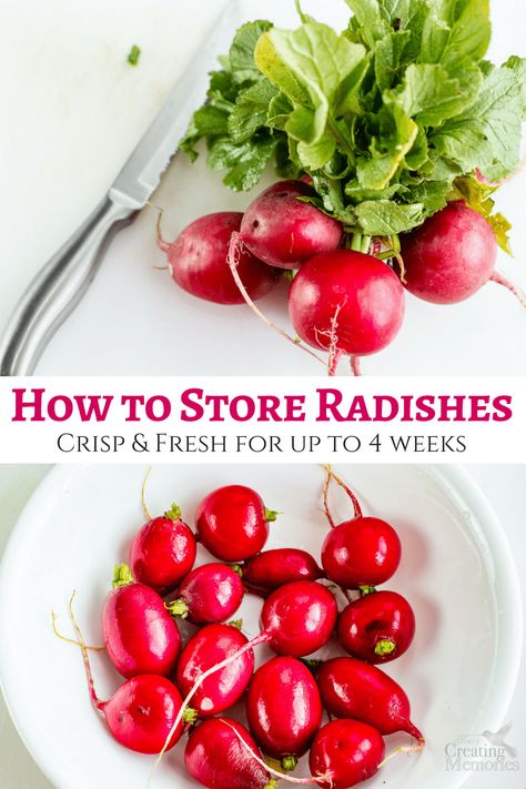 Love Radishes? Learn the secrets of how to store radishes after the harvest. This simple Homemaking hack can keep Radishes crisp and fresh in the fridge for 2-4 weeks. Try these tips and check out the video with step by step instruction. How To Store Radishes, Radish Greens, Storing Vegetables, Radish Recipes, Fruit And Vegetable Storage, Storage Tips, Boat Food, Garden Recipes, How To Store