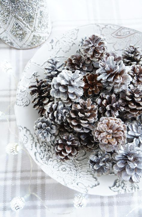 DIY Sparkly Pinecones | Haute & Healthy Living Borax Crystals, Pinecone Crafts Kids, Silver Spray Paint, Easy Holidays Crafts, Making Fabric Flowers, Diy Pinecone, Simple Decoration, Homemade Christmas Decorations, Cones Crafts