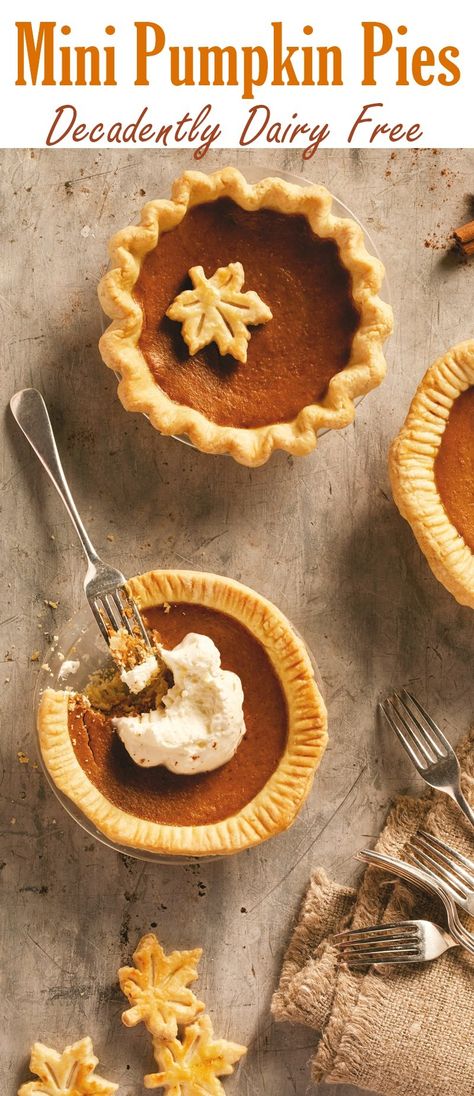 Thanksgiving Desserts Egg Free, Dairy Free Mini Pumpkin Pies, Personal Pie Recipes, Gluten Free Pie Filling, Personal Pumpkin Pies, Dairy Free Pumpkin Recipes, Dairy Free Pumpkin Pie, Personal Desserts, Gluten Free Pumpkin Pie