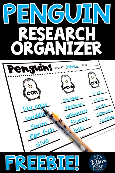 Penguins Kindergarten, Penguin Research, Penguin Unit, All About Penguins, Collaboration Station, Penguin Activities, Teacher Projects, 1st Grade Activities, Winter Writing