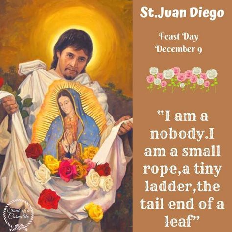 ~St. Juan Diego Marian Consecration, Martyr Quotes, Saint Juan Diego, St Juan Diego, Saint Joseph Art, Virgin Guadalupe, Guardian Angels Prayer, St John Bosco, Saint Thomas Aquinas