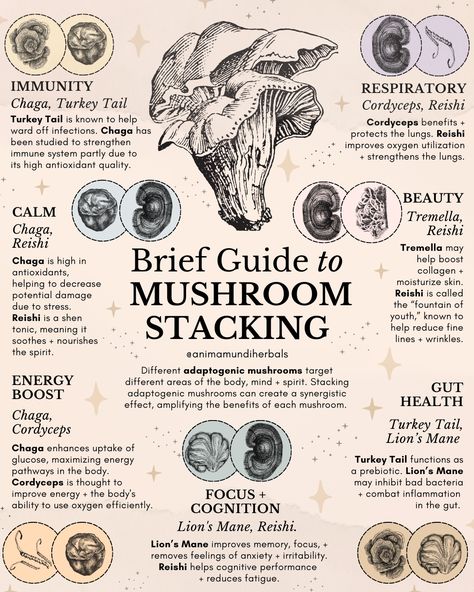 Best Mushrooms For Health, Medicinal Mushroom Benefits, Mushrooms For Healing, Mushrooms In Witchcraft, Mushroom Spells, Microdosing Mushrooms Schedule, Tremella Mushroom Benefits, Medicinal Mushrooms Benefits Of, Benefits Of Microdosing Mushrooms